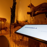 galeria_kep_13
