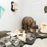 galeria_kep_20